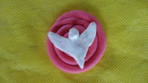 DSC00976